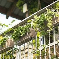 Kliknite za detalje - 10 žardinjera sa 10 žica - braon boja