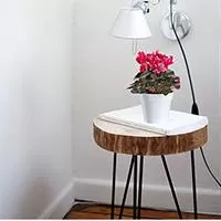 Kliknite za detalje - Crystal Plus saksija 14cm bela