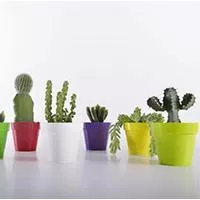 Kliknite za detalje - Crystal Plus saksija 14cm  ljubičasta