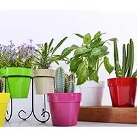 Kliknite za detalje - Crystal Plus saksija 14cm zelena