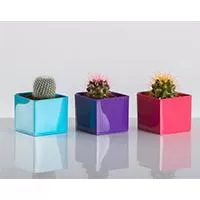 Kliknite za detalje - Magnetna saksija Cube 6x6 cm ljubičasta