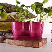 Kliknite za detalje - Saksija Herbs 14 cm roze