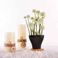Kliknite za detalje - Saksija Hidrija 15 cm crna