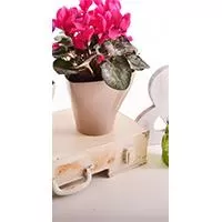 Kliknite za detalje - Saksija Hidrija 15 cm bež