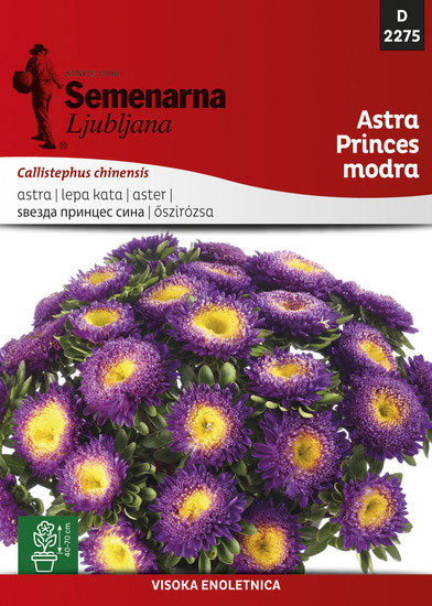 Seme 10 kesica Lepa Kata Princes - plava - Callistephus chinensis 2275 - thumbnail 0