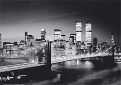 3D slika - Brooklyn bridge - thumbnail 1