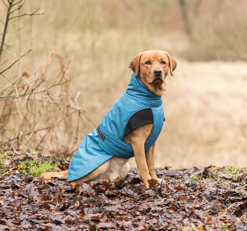 Trixie Zimska jakna za pse Riom blue 55cm 680136 - thumbnail 4