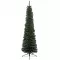 Novogodišnja jelka Everlands Pencil Pine 240cm - thumbnail 0