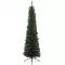 Novogodišnja jelka Everlands Pencil Pine 300cm - thumbnail 0
