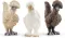 Schleich figure Domaće životinje - Kokoške 42574 - thumbnail 0