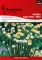 Cveće Suva ruža - bela - seme Ammobium alatum 2008 - thumbnail 0