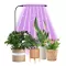Ubodna LED USB lampa za biljke LB-TIG-01/RB - thumbnail 0