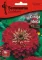Cveće 5 kesica Lepi čovek - Cinija - crvena - Zinnia elegans 5973 - thumbnail 0