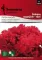 Seme za Karanfil  šabo - crveni - Dianthus caryophyllus 10 kesica 3225/2 - thumbnail 0