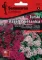 Seme za cveće 10 kesica Turski karanfil - mešavina -  Dianthus barbatus 3133 - thumbnail 0
