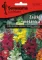 Cveće Zevalica - mešavina - Antirrhinum majus - seme 5 kesica 2129 - thumbnail 0