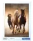 Puzzle slagalica 1000 delova Konji u galopu Clementoni HQC 39168 - thumbnail 0