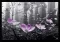 3D slika - Priroda - thumbnail 0