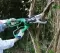 Black&Decker Alligator električna motorna testera GK1000 - thumbnail 0