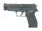 slika 1