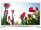 Televizor Samsung 32F4510 LED Smart HD ready USB LAN WiFi - thumbnail 0