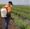 Villager Akumulatorska leđna prskalica VBS 16 051571 - thumbnail 0