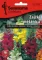Cveće Zevalica - mešavina - Antirrhinum majus - seme 2129 - thumbnail 0
