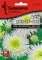 Seme Lepa Kata Princes - bela - Callistephus chinensis 2274 - thumbnail 0