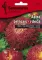 Seme Lepa Kata Princes - crvena - Callistephus chinensis 2276 - thumbnail 0