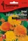 Seme za cveće Neven - mešavina - Calendula officinalis 2632 - thumbnail 0