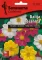 Seme za cveće Dalija - Georgina - mešavina - Dahlia sp. 3045 - thumbnail 0
