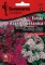 Seme za cveće Turski karanfil - mešavina -  Dianthus barbatus 3133 - thumbnail 0