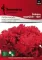 Seme za Karanfil  šabo - crveni - Dianthus caryophyllus 3225/2 - thumbnail 0