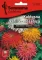 Seme za cveće Lepi čovek kaktus - mešavina - Zinnia elegans Cactus 5901 - thumbnail 0