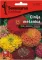 Baštensko cveće Lepi čovek - mešavina - Zinnia elegans 5971 - thumbnail 0