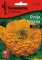Baštensko cveće Lepi čovek - Cinija - žuti - Zinnia elegans 5972 - thumbnail 0