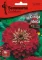 Cveće Cinija elegans - crvena - Zinnia elegans 5973 - thumbnail 0