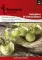 Seme za povrće - Keleraba dunavska bela -  Brassica oleracea L. var. gongylodes 136 - thumbnail 0