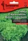 Seme - Salata Bionda a cuore pieno  -  Cichorium endivia L. 430 - thumbnail 0