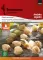 Seme za začinsko bilje -  Peruanska jagoda - Physalis peruviana 1075 - thumbnail 0