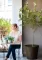 Curver Velika saksija za cveće Conic Planter 56.5L Braon - thumbnail 0