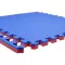 Tatami strunjača Dvostrana Puzzle 100x100x2 Ring RX 3019B - thumbnail 0