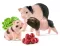Schleich Figurice Domaće životinje - Mini prasići 42422 - thumbnail 0
