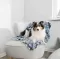 Ćebe za pse Tammy 100x70cm Trixie 37150 - thumbnail 0