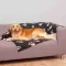 Ćebe za pse Barney 150x100cm black-beige Trixie 37182 - thumbnail 0