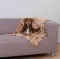 Trixie Ćebe za pse Laslo beige 100x70cm 37202 - thumbnail 0