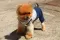 NunaNai pets odelce za pse plavo S/M - thumbnail 0