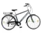 Električni bicikl Xplorer Silver Line E-bike 26 6922 - thumbnail 0