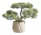 Veštačka biljka Bonsai - thumbnail 0