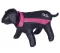 Nobby Mantil za pse Sabi Pink leđa 44cm 65300 - thumbnail 0